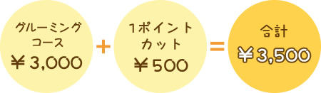 グルーミングコース￥3,000+1ポイントカット￥500=合計￥3,500