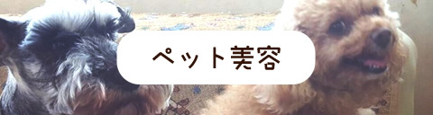 ペット美容